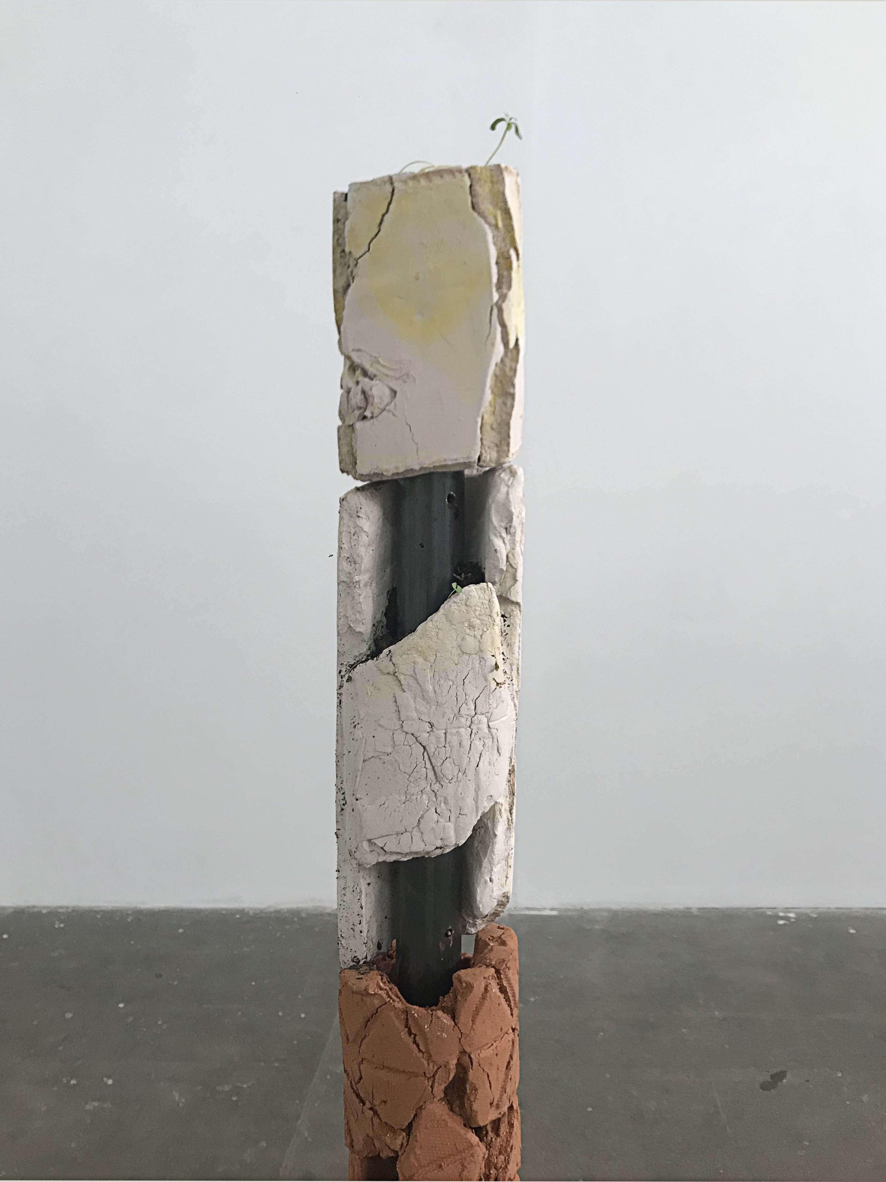 Totems
